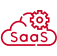 Saas Products