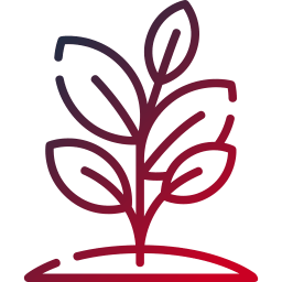 IT staff augmentation - Growing together